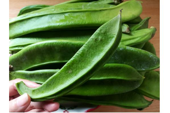 购买刀豆怎么挑选如何让新鲜的刀豆保存更久(刀豆怎么放冰箱保存)
