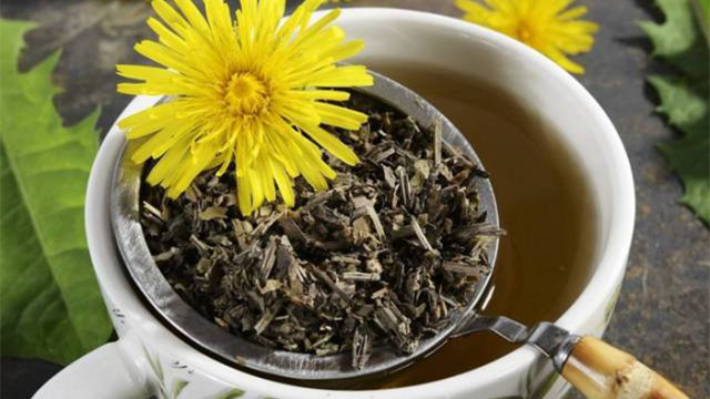蒲公英茶对女性的作用(蒲公英茶对女性的作用有哪些)