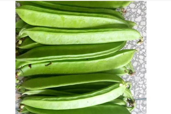 刀豆怎么放冰箱保存