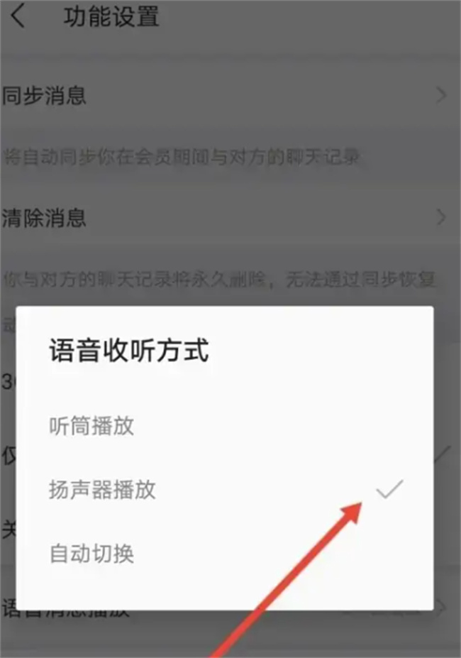 陌陌极速版怎么没有声音