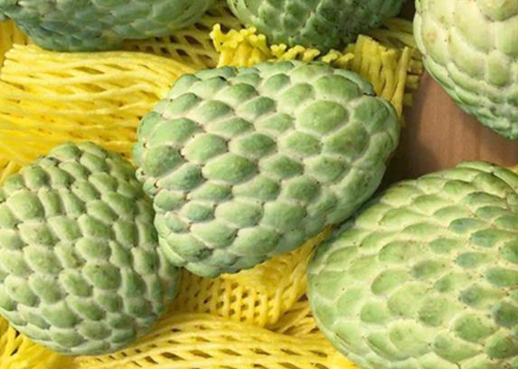 释迦果的籽可以吃吗释迦果的籽发芽了还能吃吗(释迦果里面的籽发芽了能吃吗)