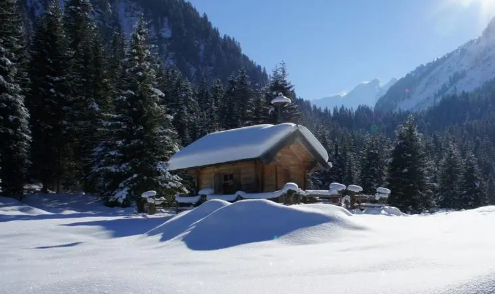 2020年武汉什么时候下雪了