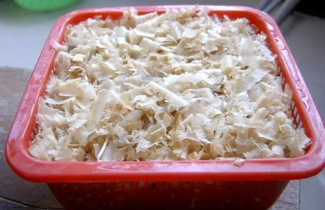 文竹开花结果好吗