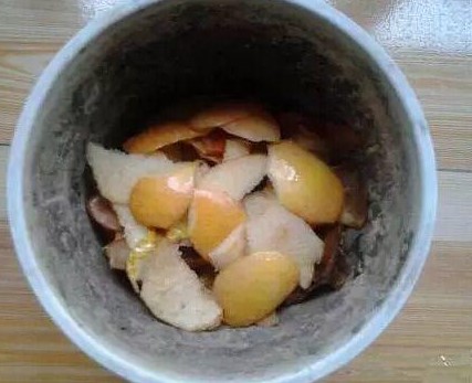 自制肥料种花用什么好