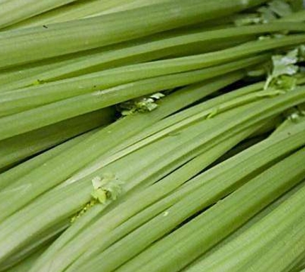 阳台种植芹菜根的方法