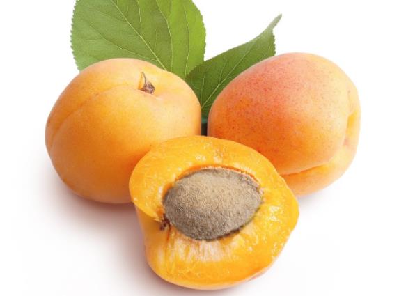 杏子可以和芒果一起吃吗杏子为什么不能多吃(杏子和芒果一起吃会出现什么后果?)