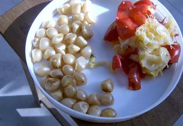 文竹开花结果好吗