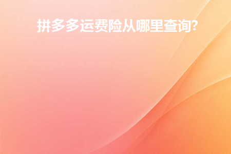 拼多多运费险在哪里看?