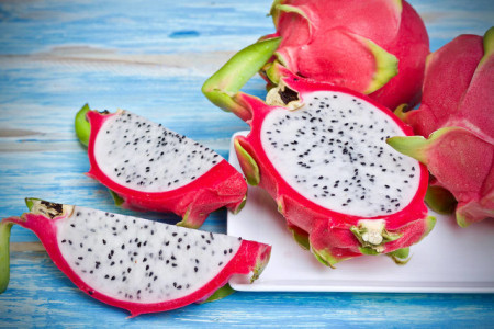 盆栽火龙果树怎么种植