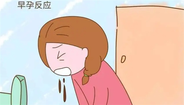 早孕反应严重说明什么问题