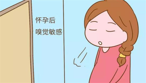 早孕反应严重说明什么问题