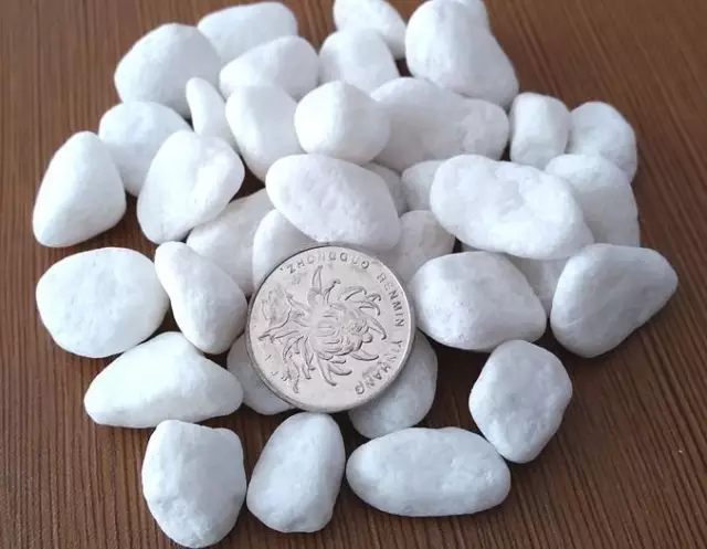 根部烂的花怎么治疗