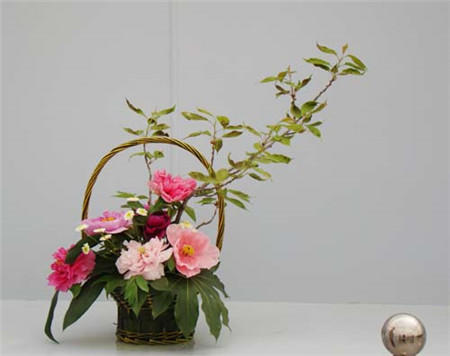 牡丹插花艺术欣赏教案