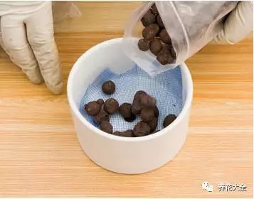 根部烂的花怎么治疗