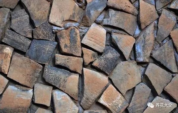 根部烂的花怎么治疗