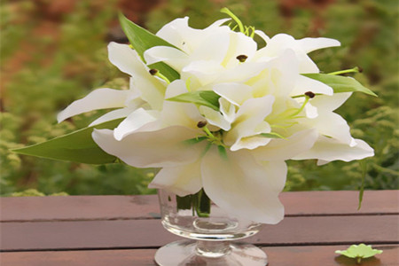 百合花放在卧室好吗(百合花为什么是死人花)