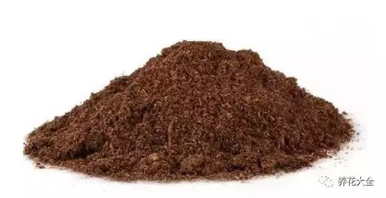 根部烂的花怎么治疗