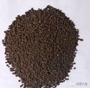 根部烂的花怎么治疗