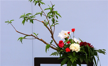 牡丹插花艺术欣赏教案