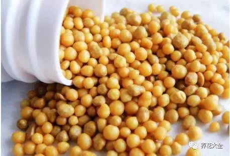 根部烂的花怎么治疗