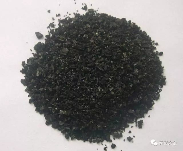 根部烂的花怎么治疗