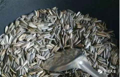 根部烂的花怎么治疗