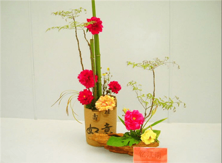 牡丹插花艺术欣赏教案