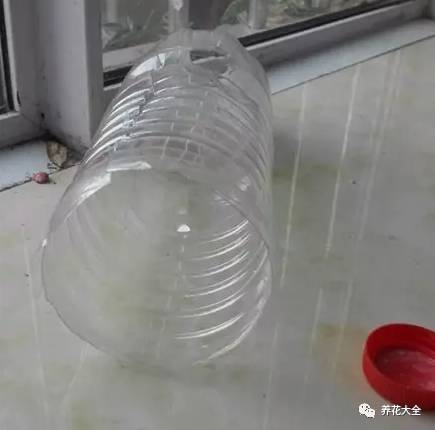 绿萝吊兰怎么养