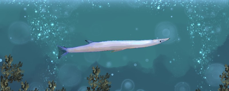 银鱼生长在哪里能养殖吗(银鱼的生长期多长)