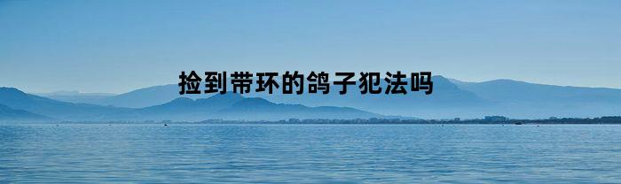 捡到带环的鸽子犯法吗(捡到带足环的鸽子要上交吗)