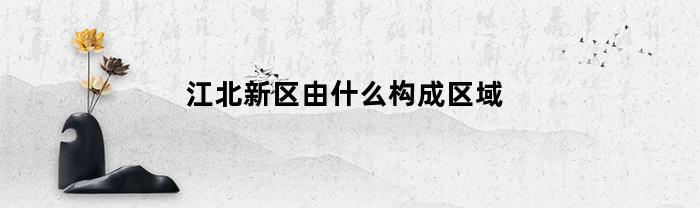 江北新区由什么构成区域(江北新区由哪个区构成)