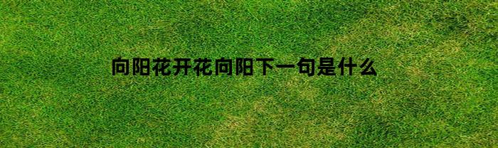 向阳花开花向阳下一句是什么([七五]向阳花开暖)