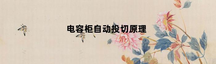 电容柜自动投切原理(电容柜投切注意事项)