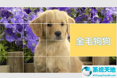 ppt表格怎么做的(ppt表格如何做封面图片大小)