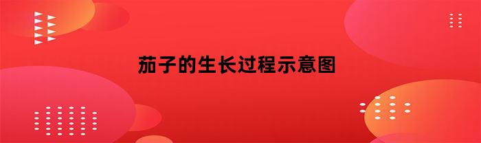 茄子的生长过程示意图(茄子的生长过程示意图简笔画)