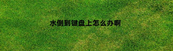 水倒到键盘上怎么办啊(水不小心倒在键盘上怎么办)