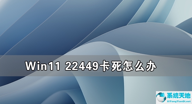 win11 22445(windows11 22445)