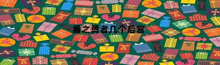 盾之勇者几个后宫(盾之勇者最后怎么了)