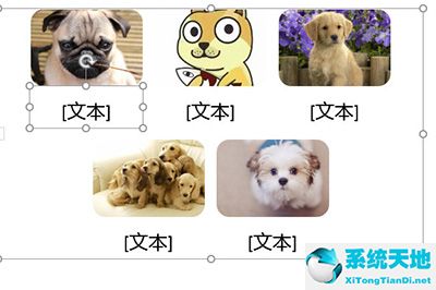 ppt多图片摆放技巧(ppt放多图如何排版)