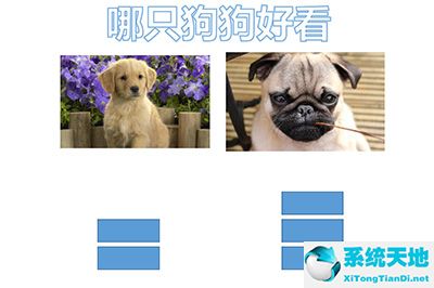 ppt如何投票计数(ppt 投票)