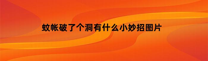 蚊帐破了个洞有什么小妙招图片(蚊帐破了怎么补好看)