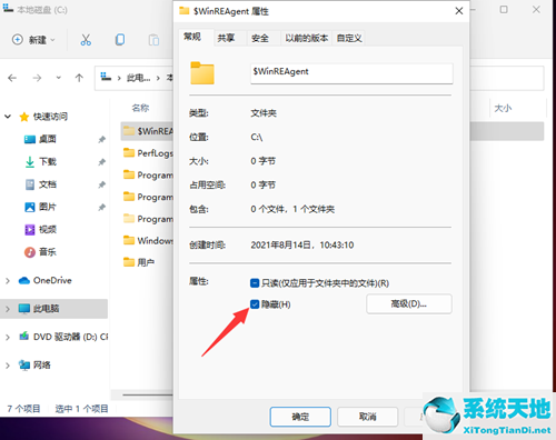 windows11隐藏文件夹(windows如何查看隐藏文件)