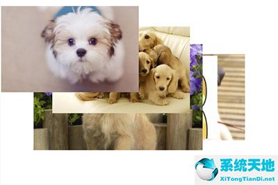 ppt多图片摆放技巧(ppt放多图如何排版)