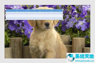 ppt表格怎么做的(ppt表格如何做封面图片大小)