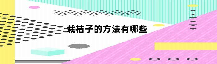 栽桔子的方法有哪些(怎样栽桔子树苗)