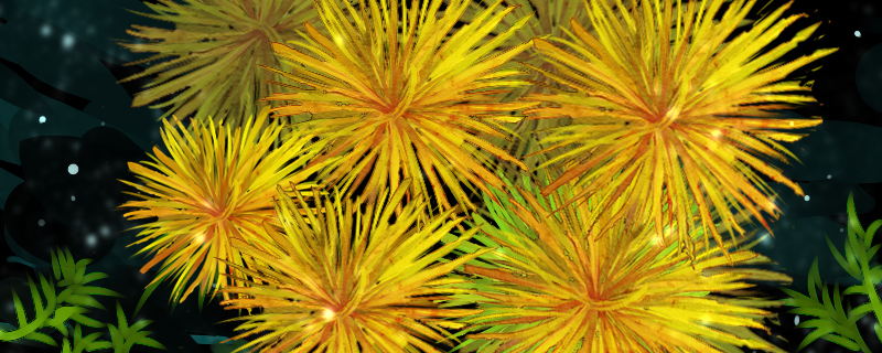 60草缸二氧化碳一秒几泡草缸里需要哪些设备(60的草缸二氧化碳一秒几泡)