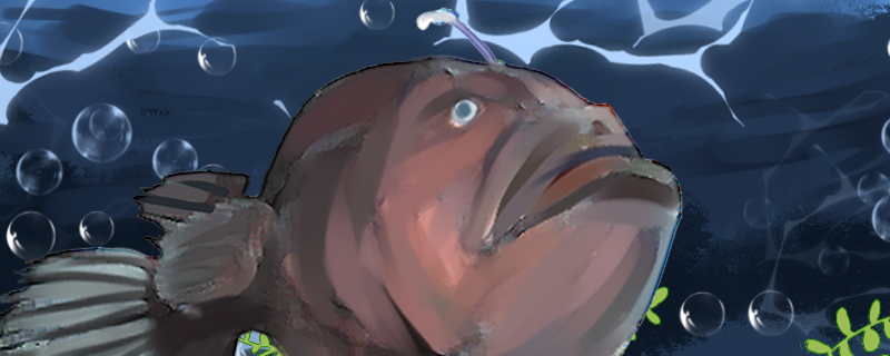 安康鱼是深海鱼吗在浅水中能活吗(安康鱼是深海鱼还是浅海鱼)