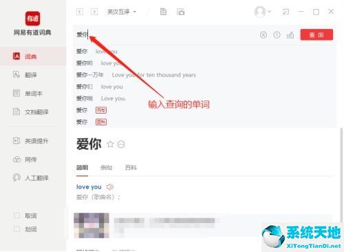 有道词典在线查询(有道词典怎么查单词)