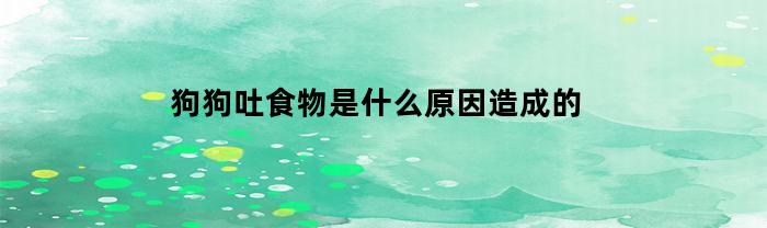 狗狗得了细小的初期症状