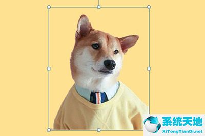 ppt的叠加(ppt怎么设置叠加图形模板)